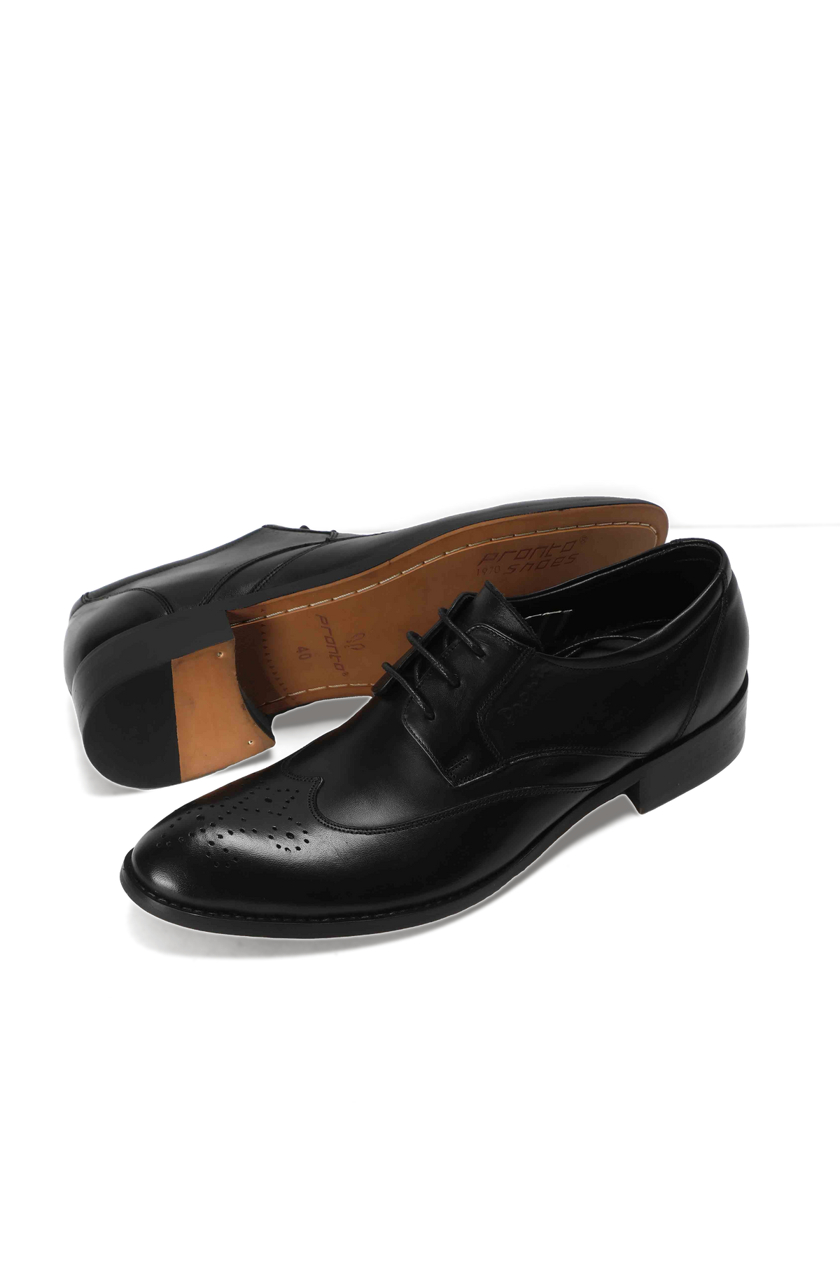Wingtip Derby