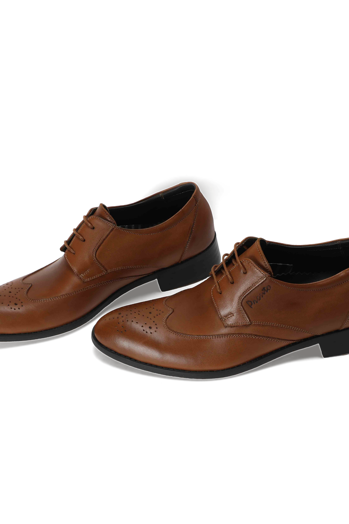 Wingtip Derby