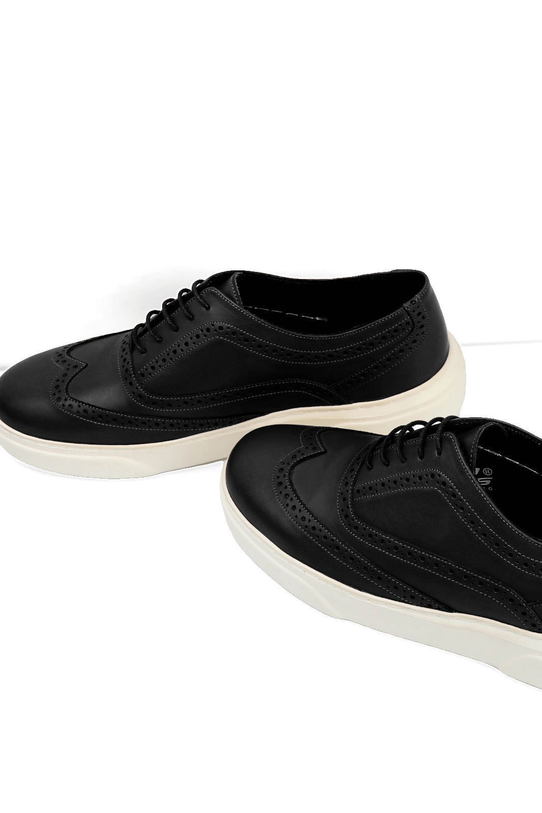 Stanford Trainer
