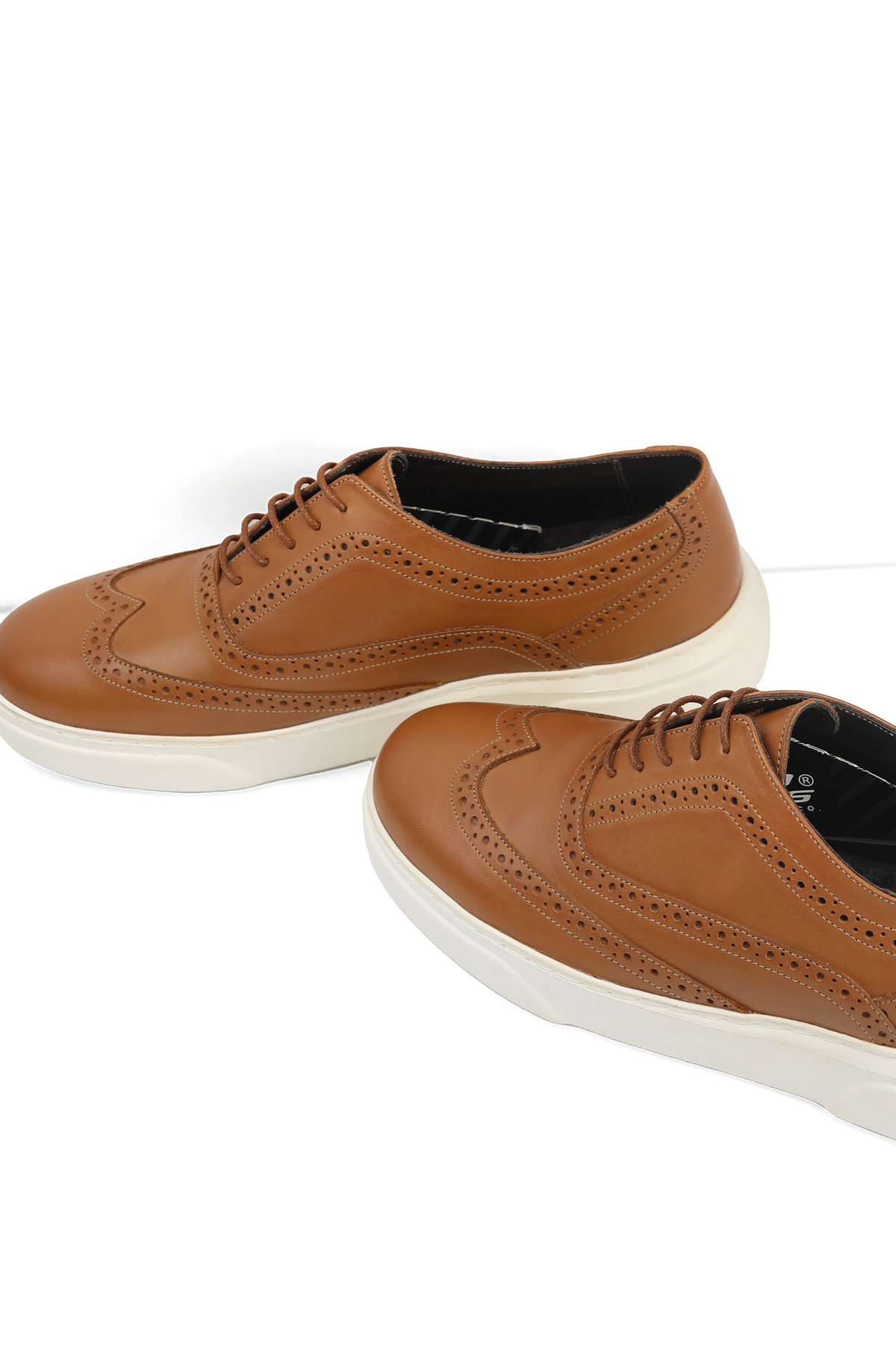 Stanford Trainer
