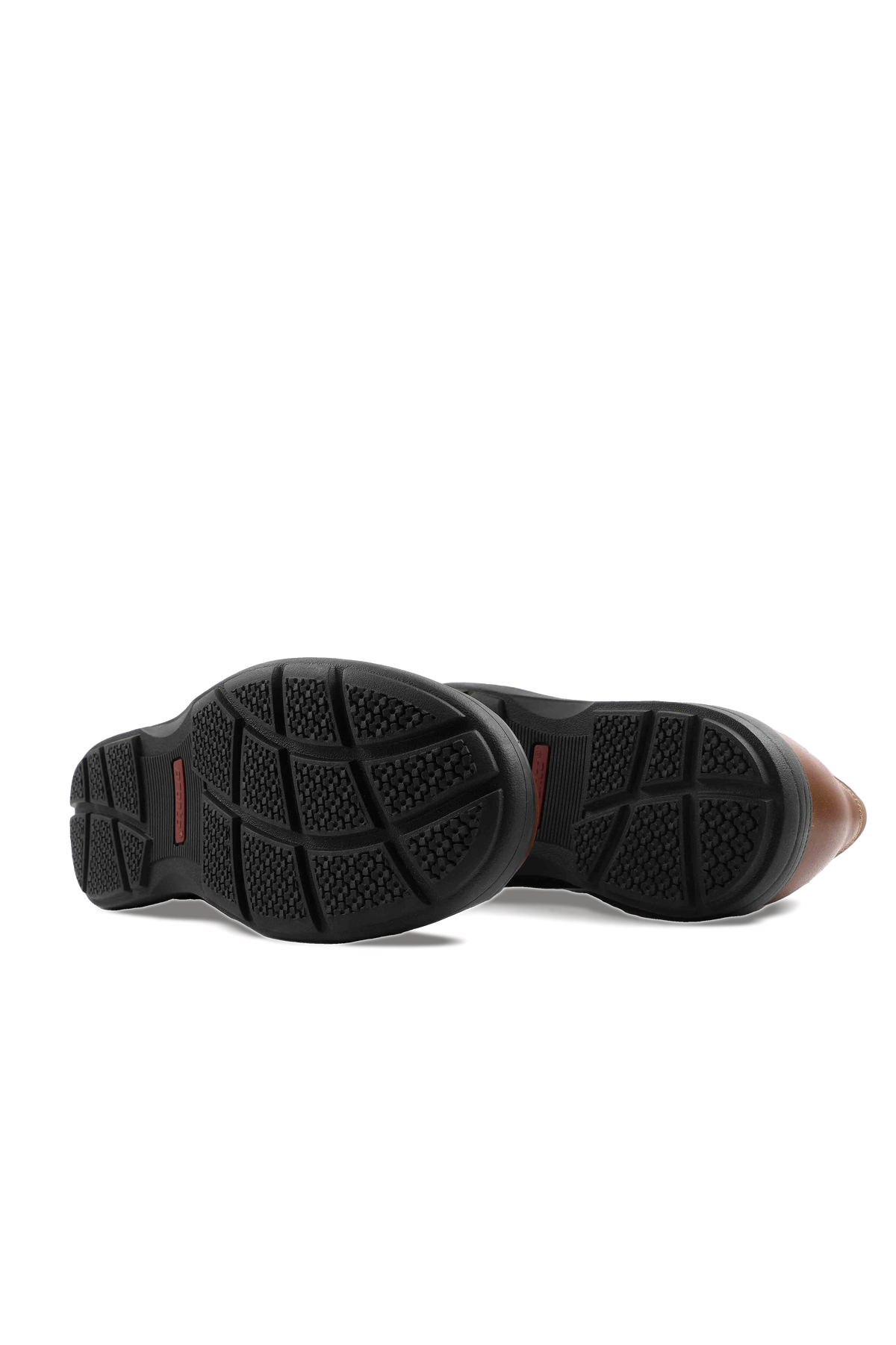 Tiger's Feet