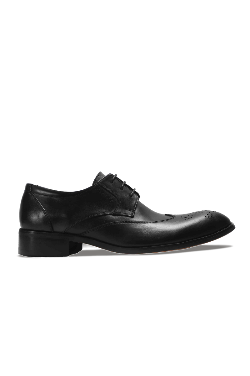 Wingtip Derby