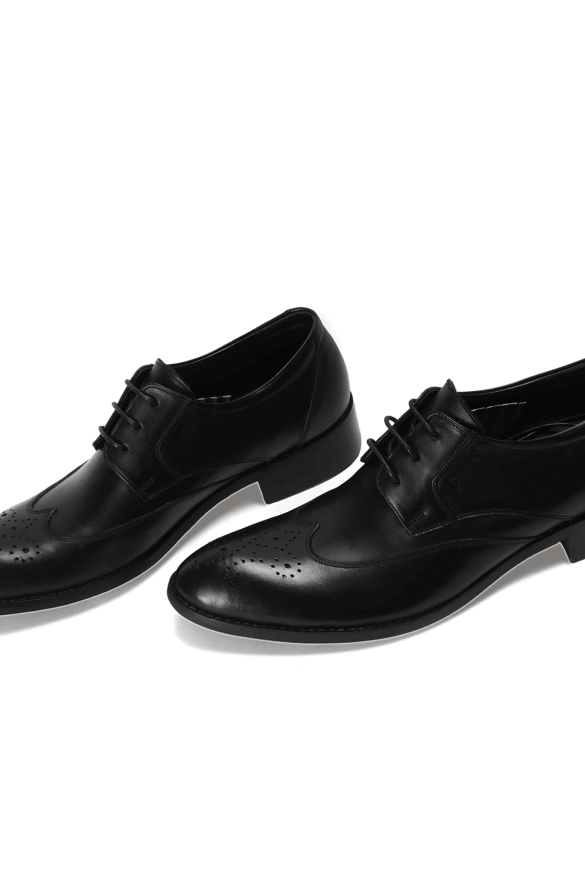 Wingtip Derby