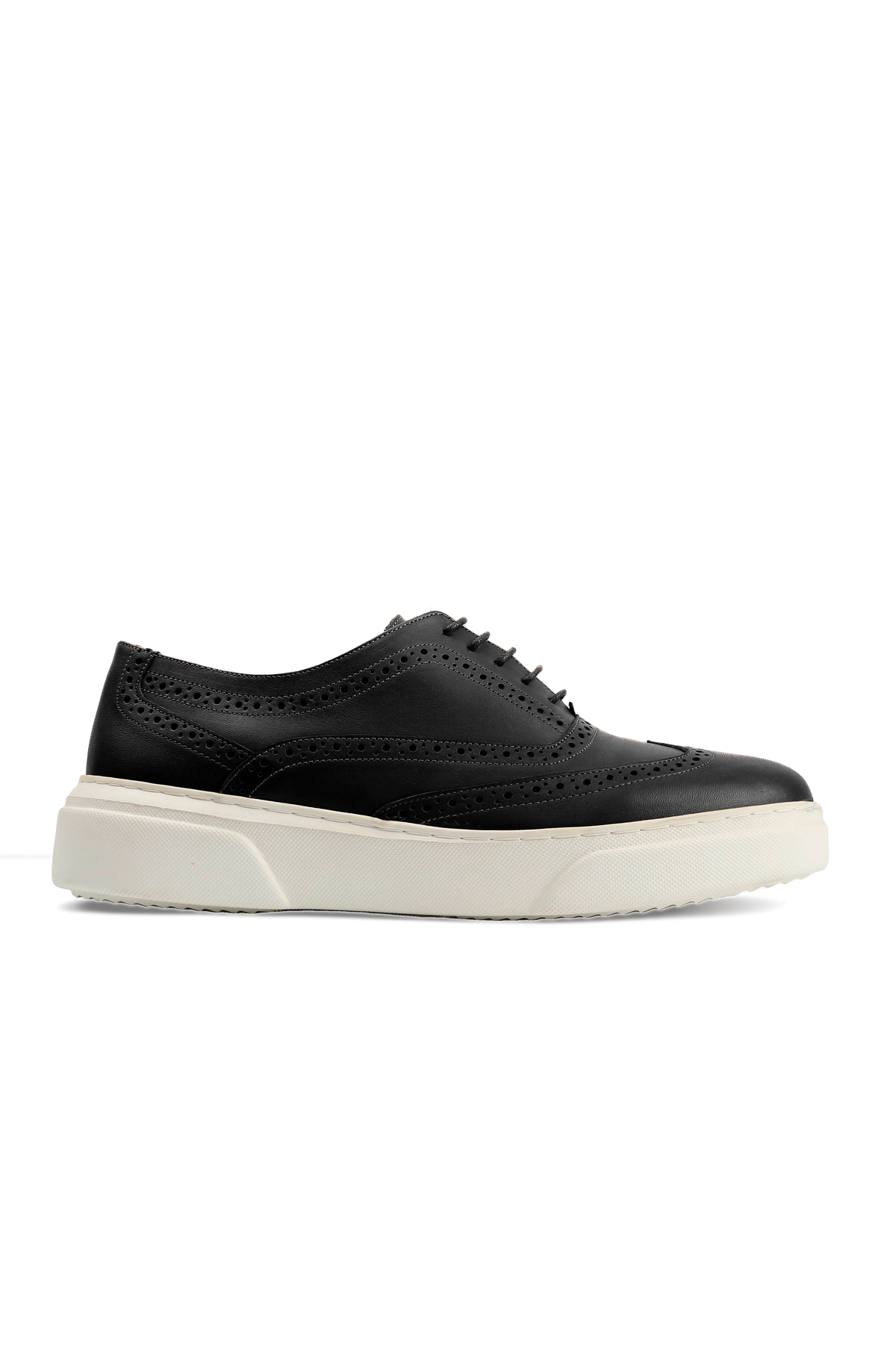Stanford Trainer