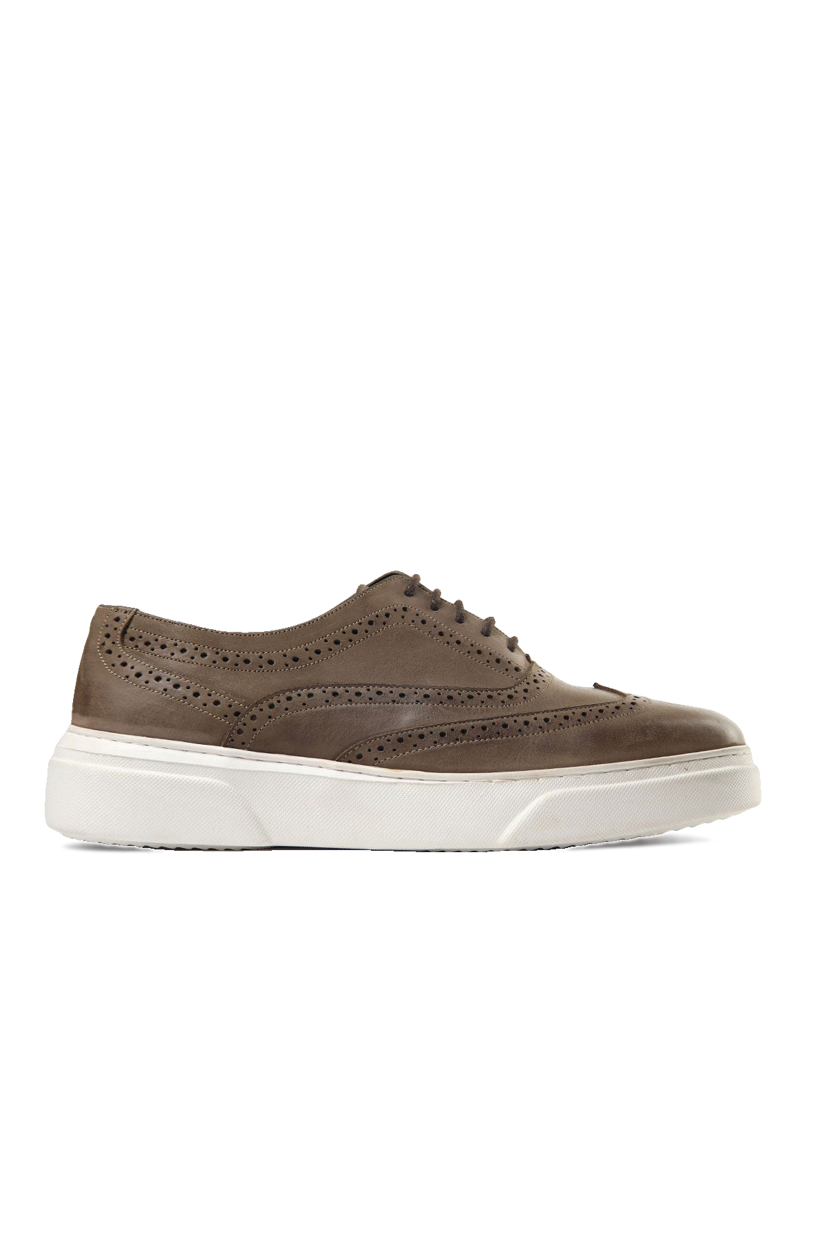 Stanford Trainer
