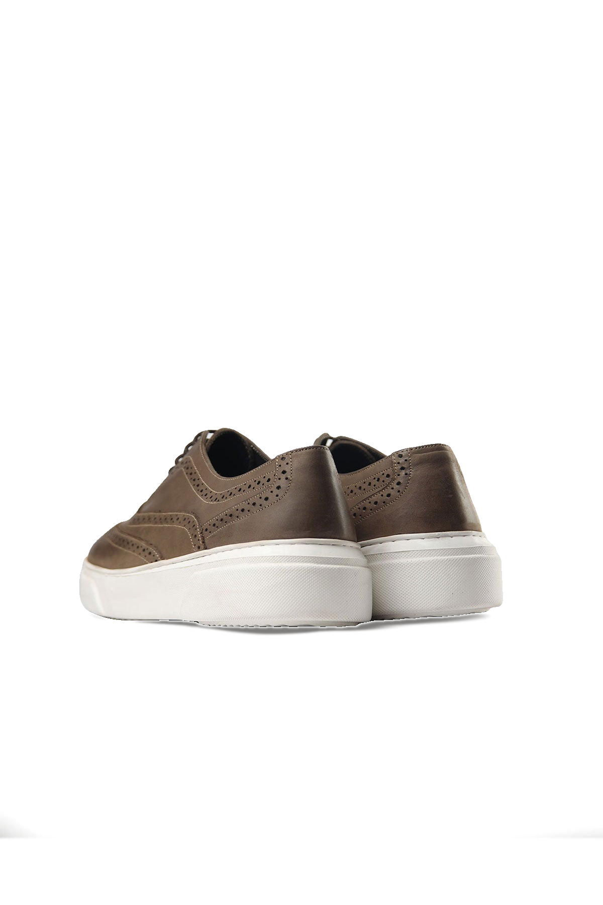 Stanford Trainer