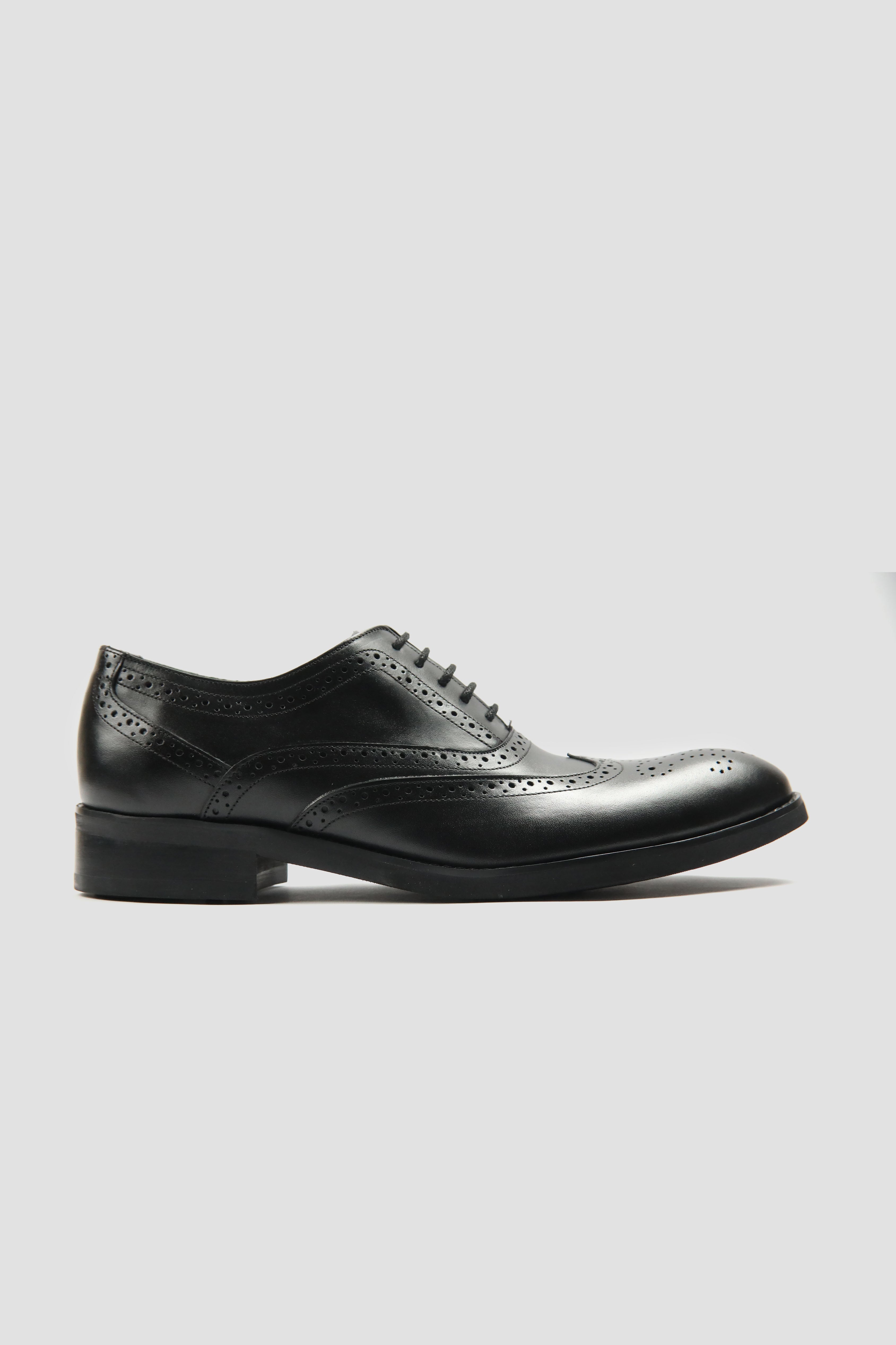 Oxford Brogues